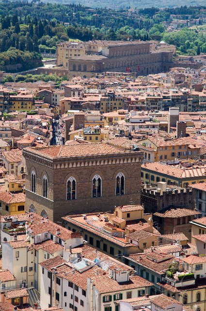 0153Pallazzo Pitti.jpg - SONY DSC